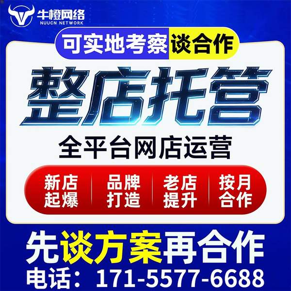 满洲里电商代运营