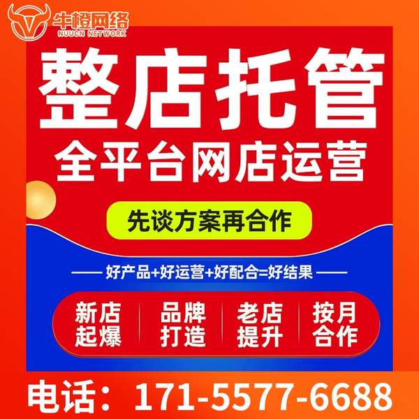 满洲里电商代运营