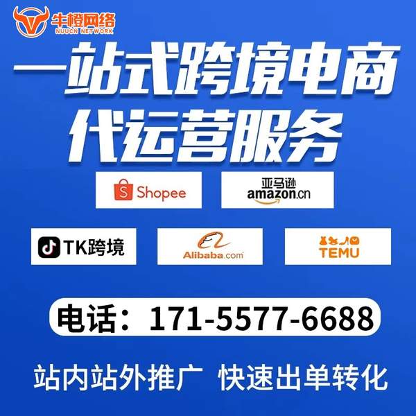 满洲里电商代运营