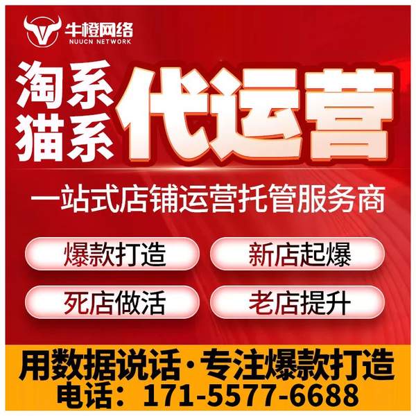满洲里电商代运营